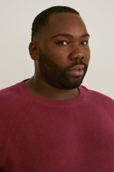 Hommes grandes tailles - Pull - bordeaux