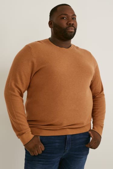 Hommes grandes tailles - Pull - marron clair