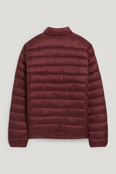 Herren - Steppjacke - bordeaux