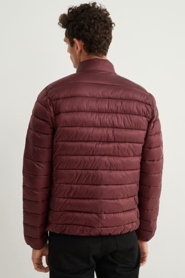 Herren - Steppjacke - bordeaux