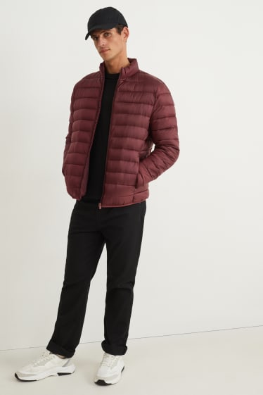 Herren - Steppjacke - bordeaux