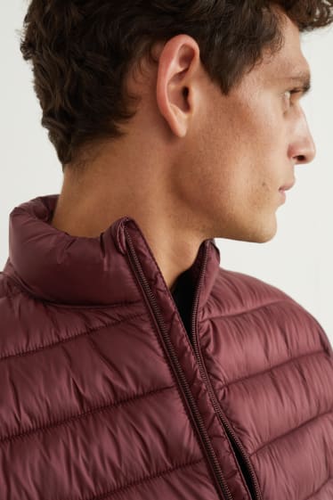Herren - Steppjacke - bordeaux