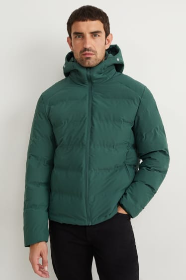 Herren - Steppjacke mit Kapuze - grün
