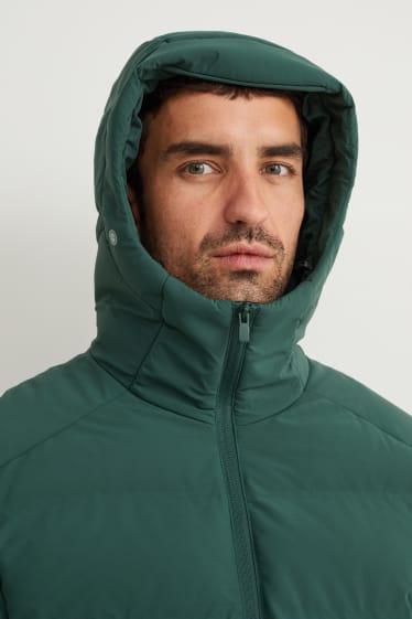 Herren - Steppjacke mit Kapuze - grün