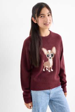 Chihuahua - Pullover