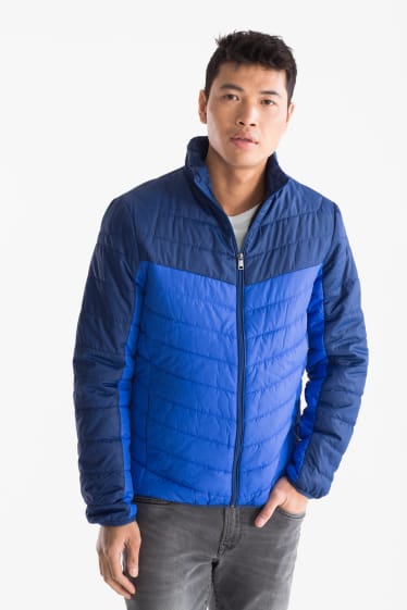 Herren - Steppjacke - blau / dunkelblau