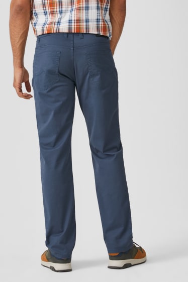 Uomo - Pantaloni - Straight Fit - grigio