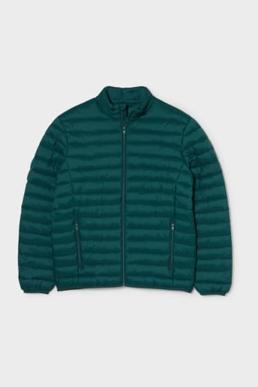 Men - Quilted jacket - green
