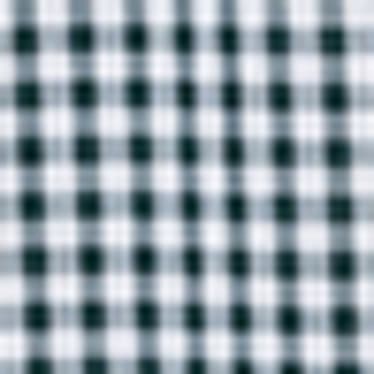 Heren - Trachtenhemd - Regular Fit - Kent - geruit - donkergroen / wit