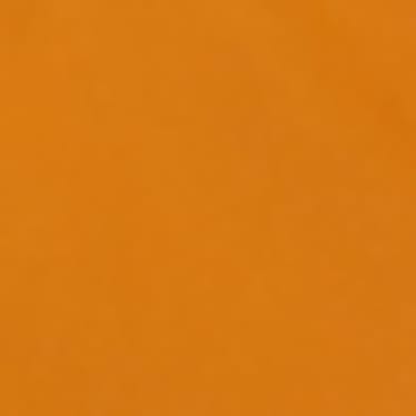 Donna - Giacca tecnica con cappuccio - THERMOLITE® - arancione