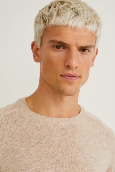 Hommes - Pull en laine vierge - taupe
