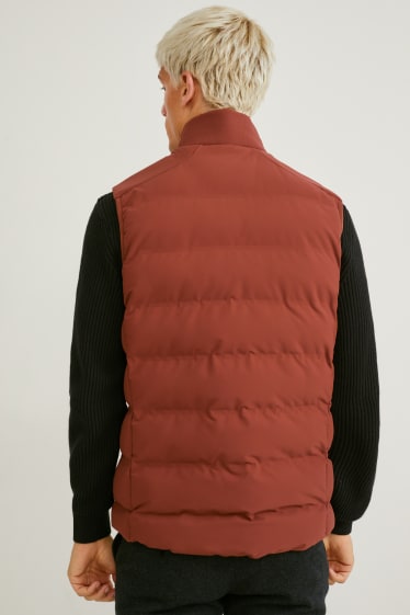 Men - Technical gilet - brown