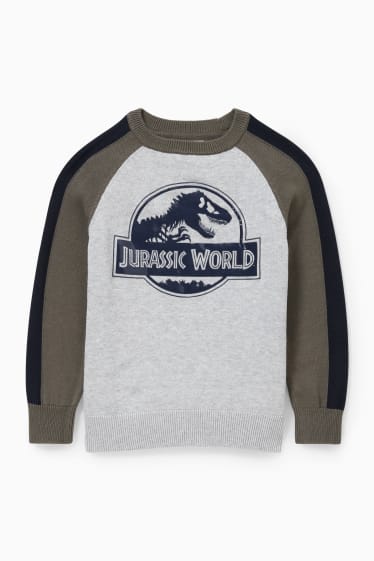 Kinderen - Jurassic World - trui - licht grijs-mix