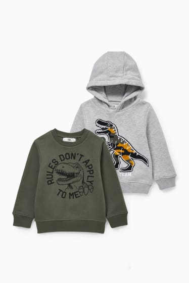 Kinderen - Set van 2 - dino - hoodie en sweatshirt - grijs / donkergroen