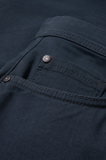 Men - Trousers - regular fit - dark gray
