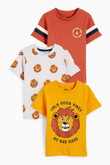Kinderen - Set van 3 - leeuw - T-shirt - bruin