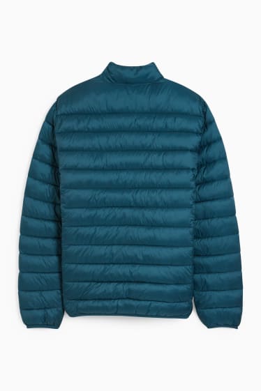 Men - Quilted jacket - turquoise