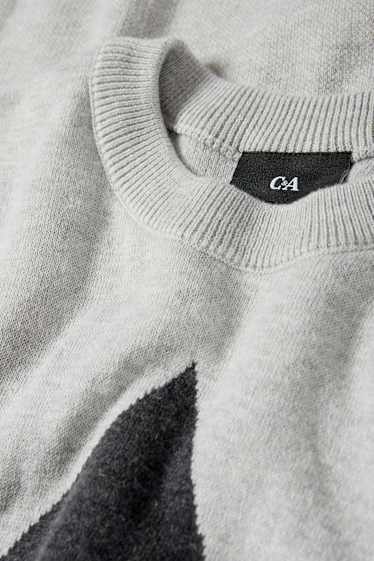 Hommes - Pull - gris clair