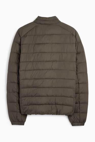 Herren - Steppjacke - dunkelgrün