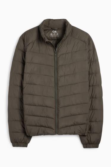 Herren - Steppjacke - dunkelgrün