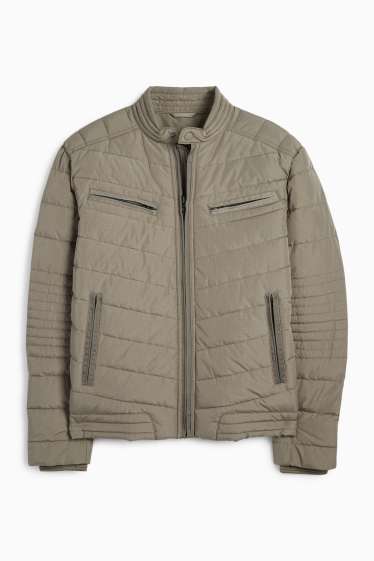 Herren - Steppjacke - grün