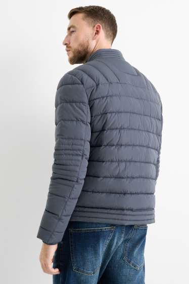 Herren - Steppjacke - grau