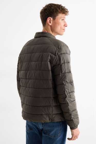 Herren - Steppjacke - dunkelgrün