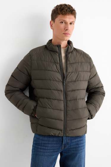 Herren - Steppjacke - dunkelgrün