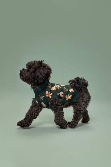 Unisex - Mini Me - kerstcape voor honden - met patroon - peperkoek - donkergroen