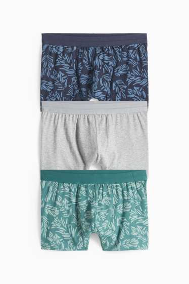 Hommes - Shorty - vert / bleu foncé