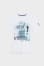 white / light blue