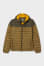 brown / dark green