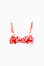 rot