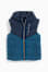 blau fosc