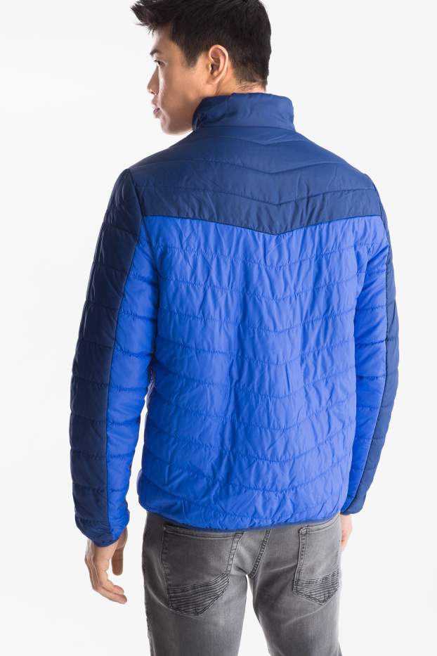 Herren - Steppjacke - blau / dunkelblau