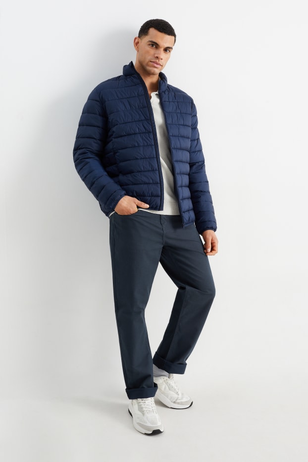Men - Trousers - regular fit - dark gray