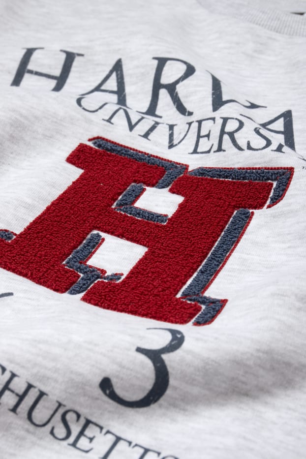 Pánské - Mikina - Harvard University - světle šedá-žíhaná