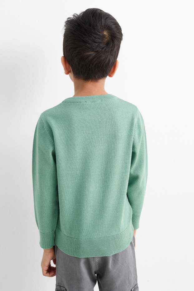 Kinder Jungen - Skate-Tiger - Pullover - grün