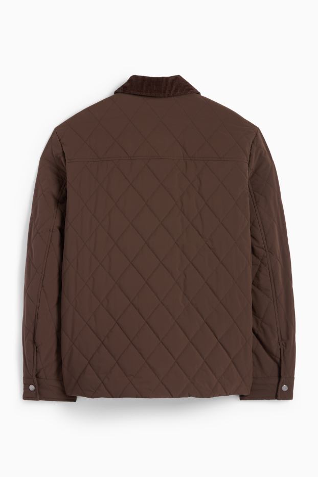 Herren - Steppjacke - dunkelbraun