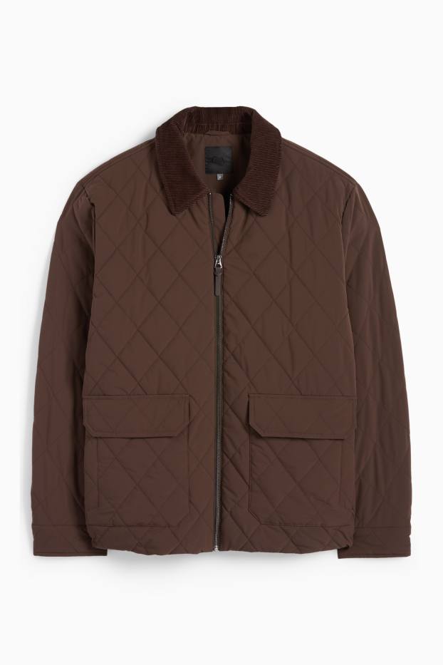 Herren - Steppjacke - dunkelbraun