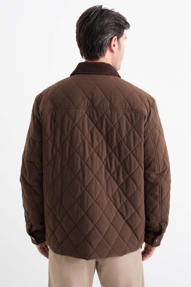 Herren - Steppjacke - dunkelbraun