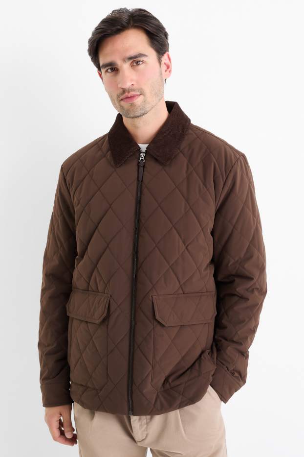 Herren - Steppjacke - dunkelbraun