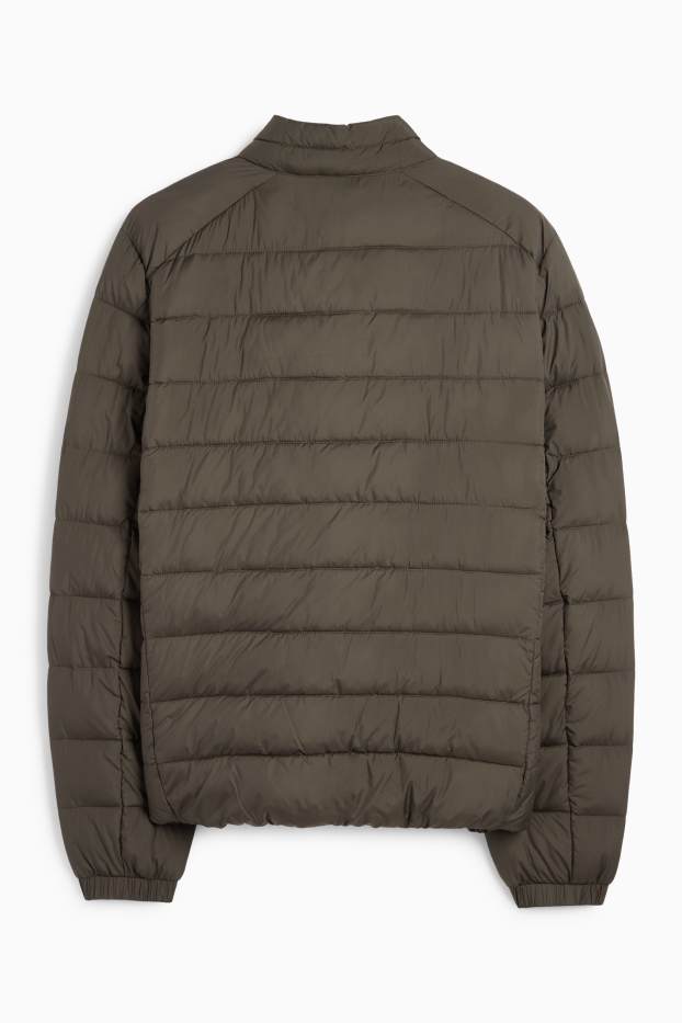 Herren - Steppjacke - dunkelgrün