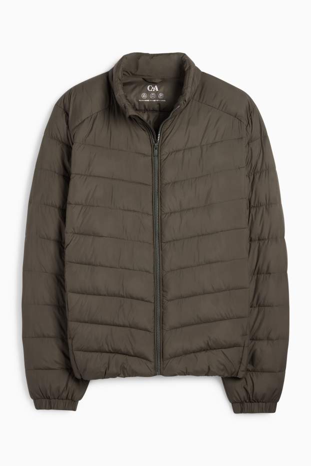 Herren - Steppjacke - dunkelgrün