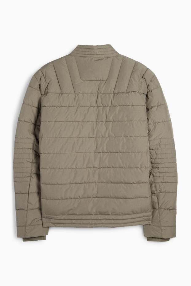 Herren - Steppjacke - grün