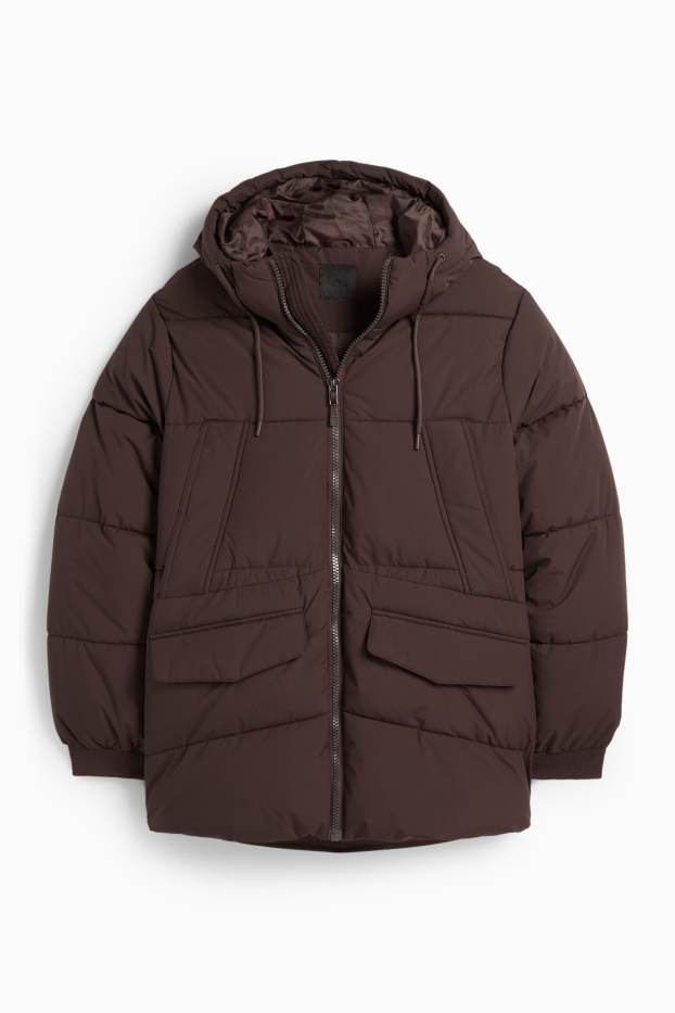Herren - Steppjacke mit Kapuze - dunkelbraun
