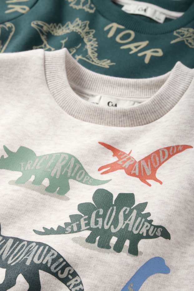 Kinderen: jongens - Set van 2 - dino - sweatshirt - beige / groen