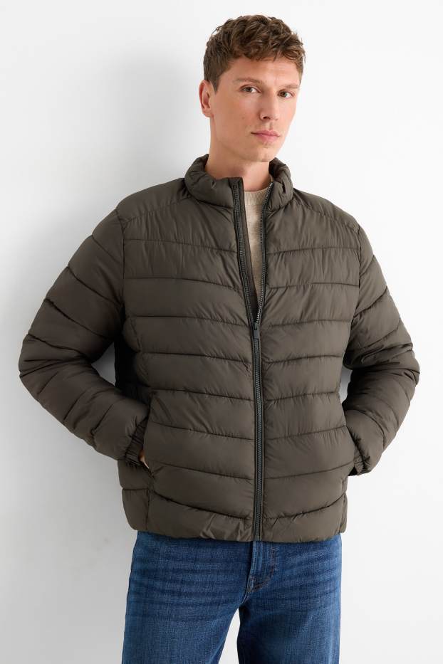 Herren - Steppjacke - dunkelgrün