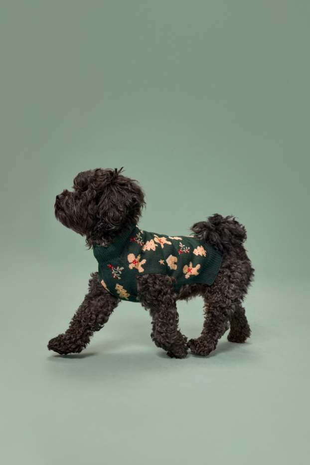 Unisex - Mini Me - kerstcape voor honden - met patroon - peperkoek - donkergroen