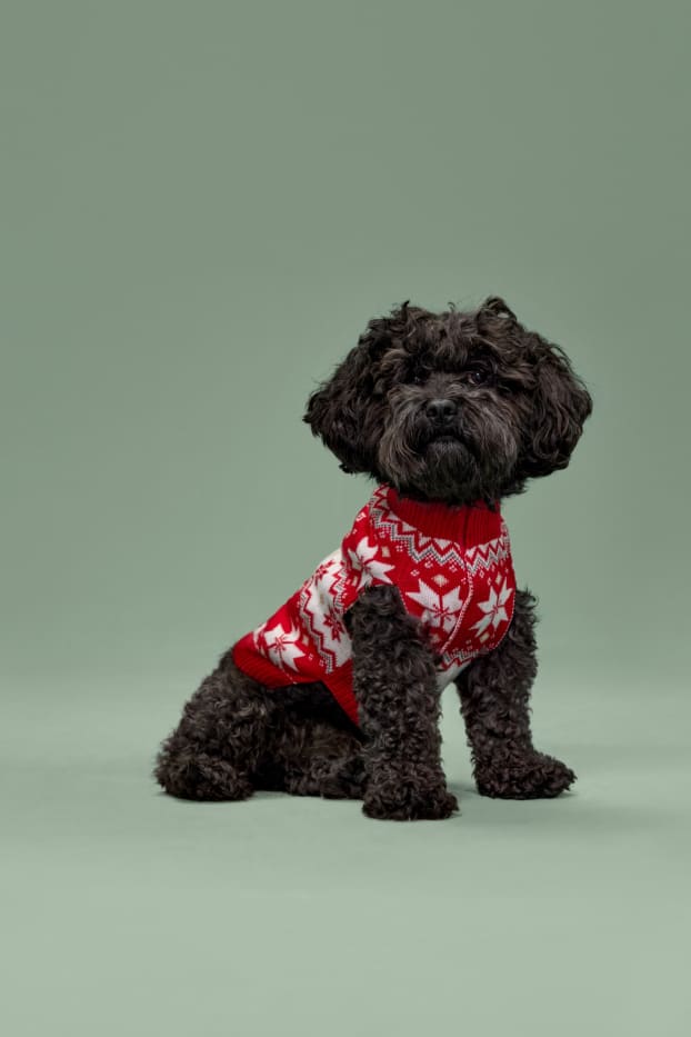 Unisex - Mini Me - kerstcape voor honden - met patroon - rood